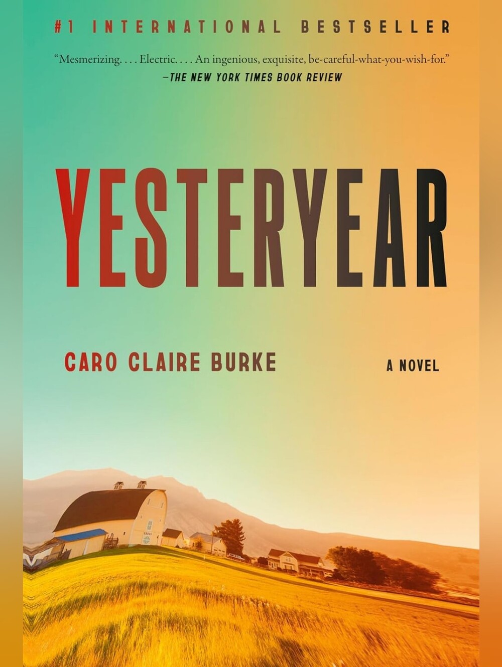 Yesteryear Book By Caro Claire Burke